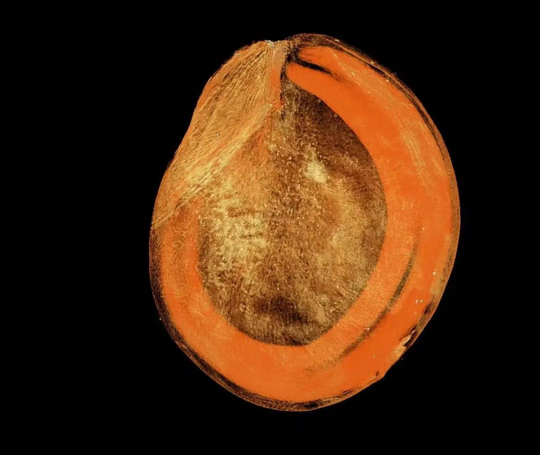 1655259918478380.jpg 1655259918478380.jpg