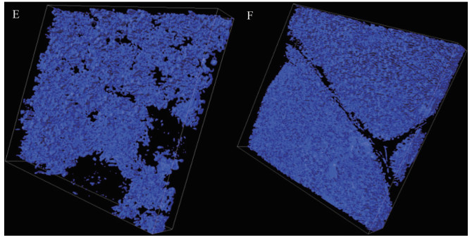 1617255187255073.jpg 黃瓜444.jpg